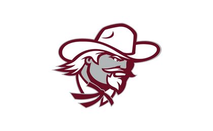 A cowboy with a beard wearing a cowboy hat.