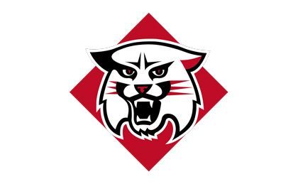 A black and white cat's head is in a red square.