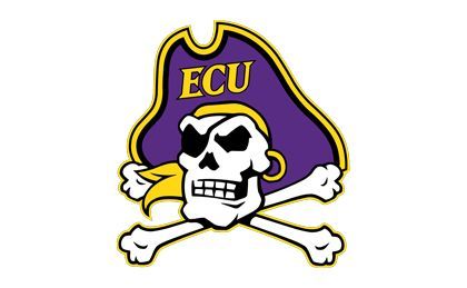 A skull and crossbones wearing a purple pirate hat.