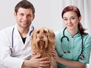 Doctors with a pet dog