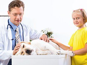 Doctor consulting dog