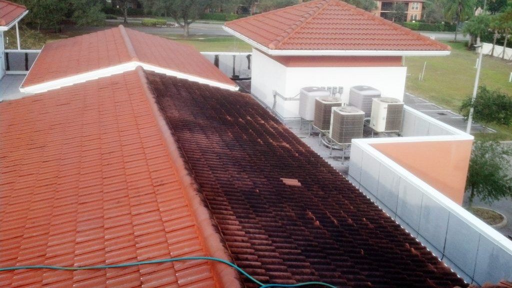 Roofing services