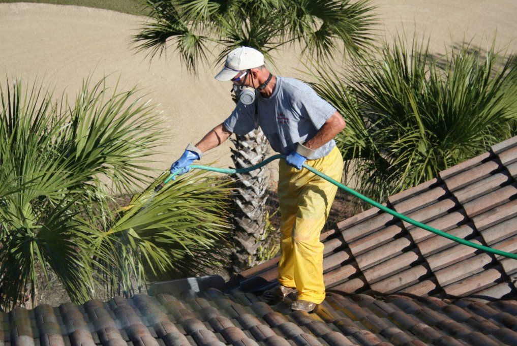 Soft washing service