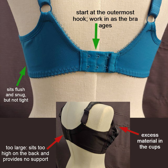 Bra not fitting online