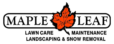 Maple Leaf Inc. - Logo