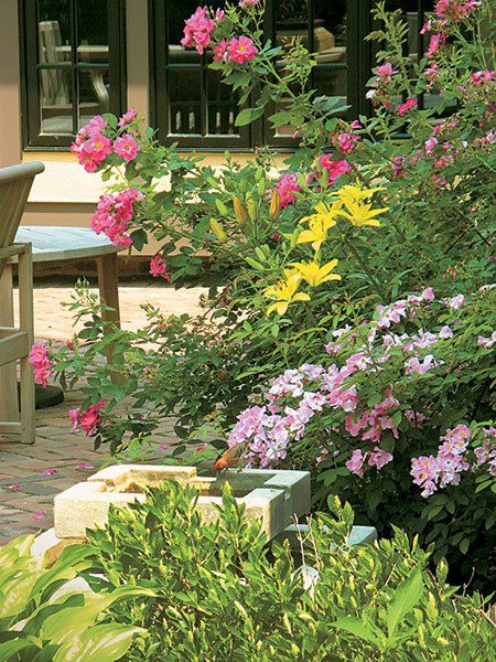 A garden with lots of pink and yellow flowers