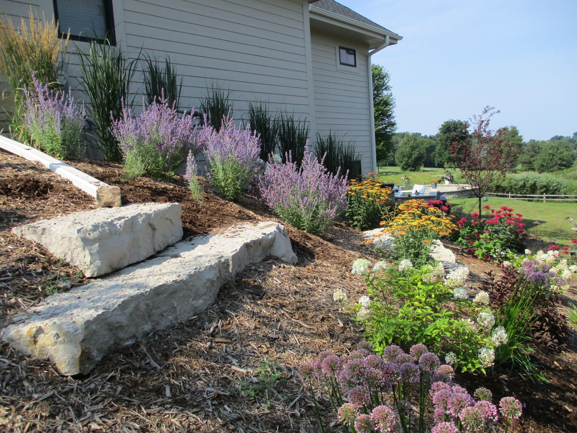 Stone steps lead up a mulched garden slope next to a house, featuring purple catmint, white hydrangeas, and diverse plants.
