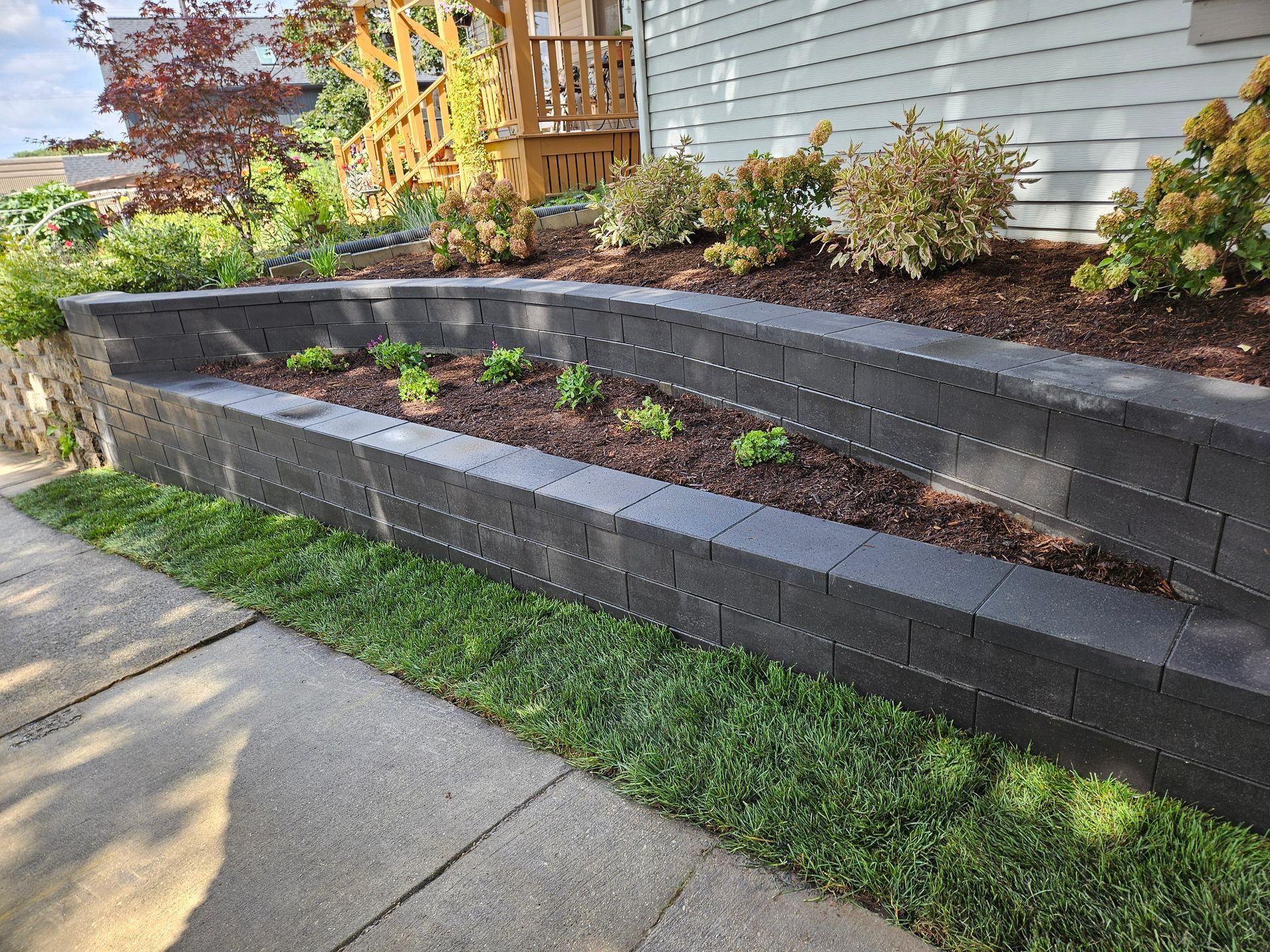 Raised garden bed with dark grey block wall, containing plants and soil, beside green lawn and sidewalk.