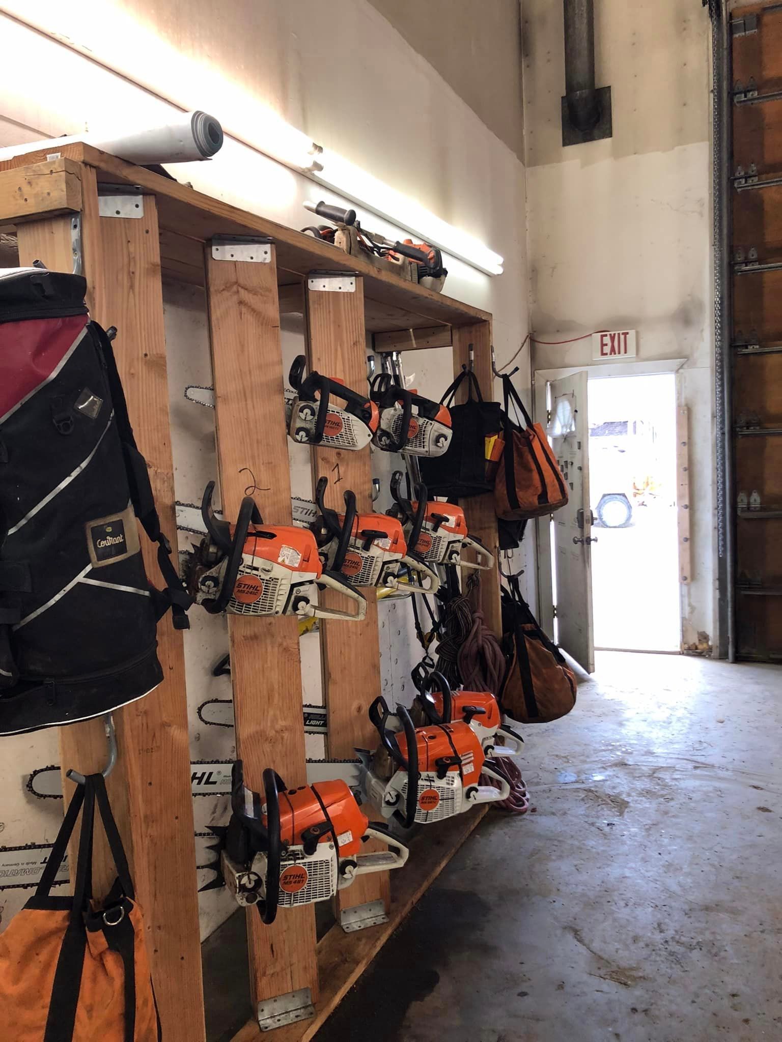 A bunch of chainsaws are hanging on a rack in a room.