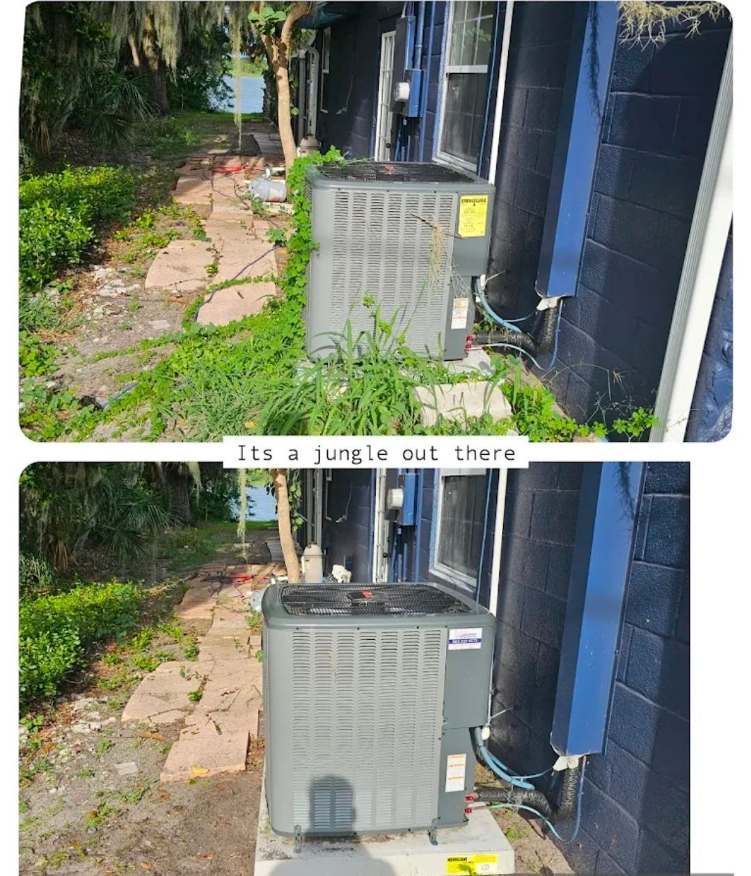 Before and after photos showing an overgrown outdoor air conditioning unit cleared of surrounding weeds and debris.