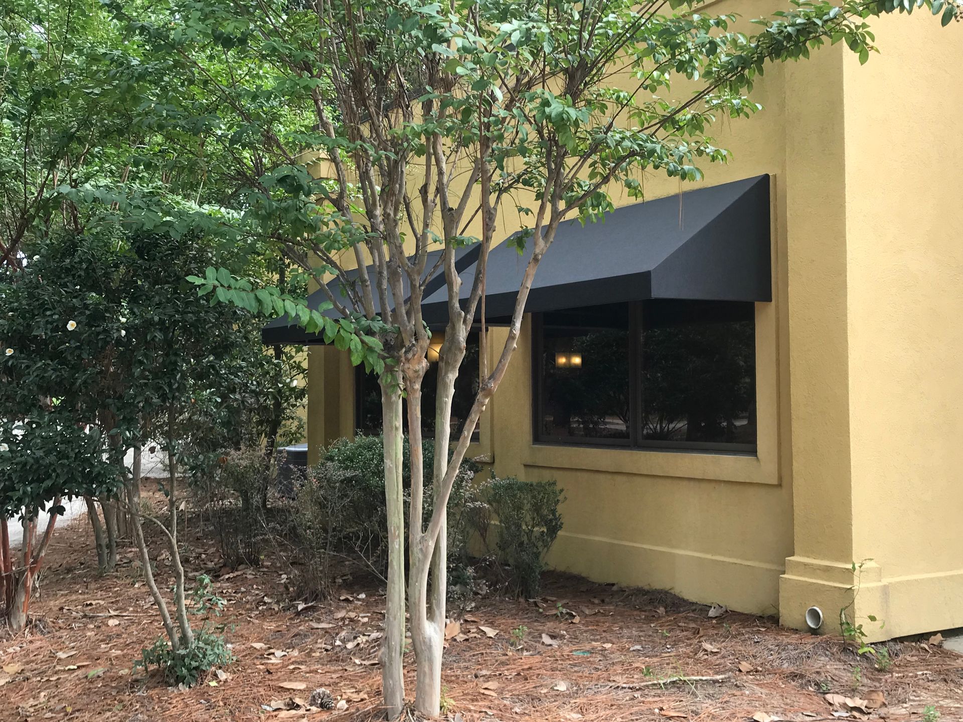 Yellow building wall with dark awning, windows, trees, and shrubs in a landscaped outdoor area