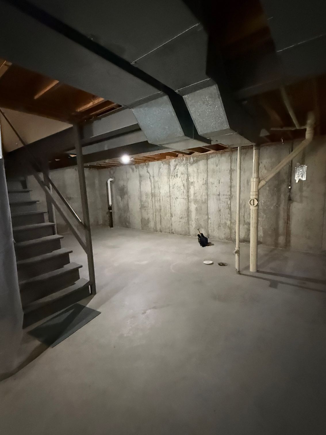 Basement interior with concrete walls and floor, stairs, ductwork, and small cat near center.