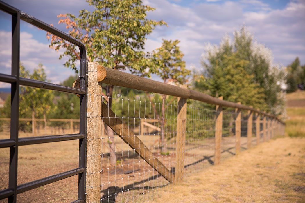 A wooden fence with a black gate in a field with trees in the background.