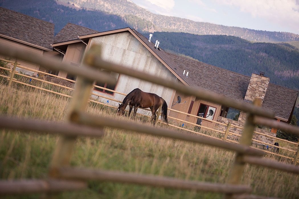 A horse is grazing in a field behind a wooden fence.