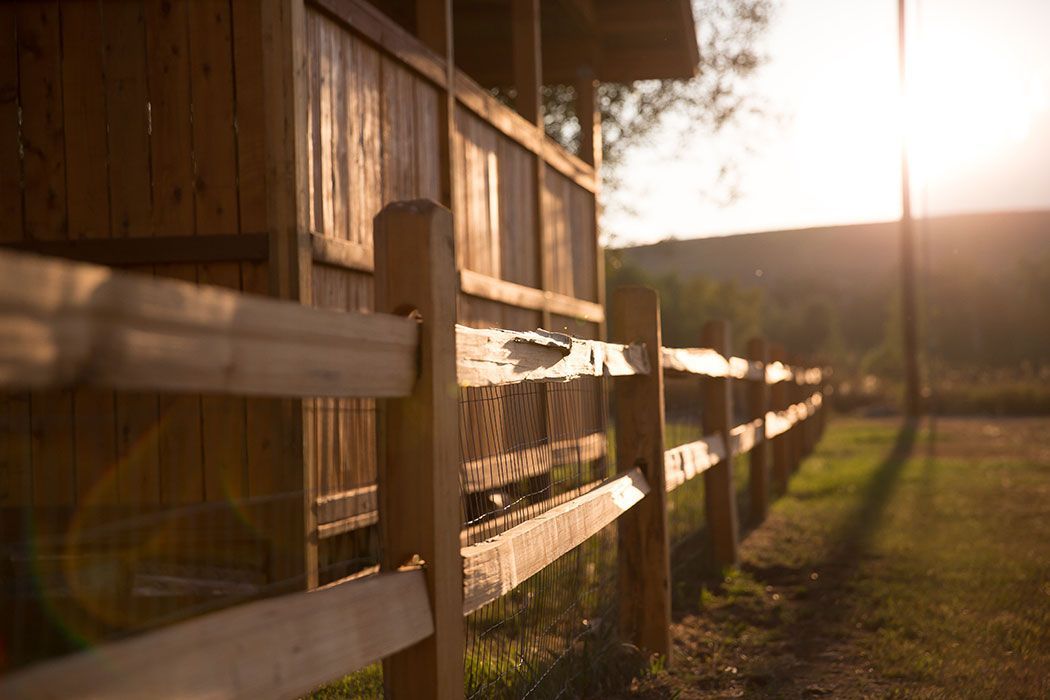 A wooden fence in a field with the sun shining through it.