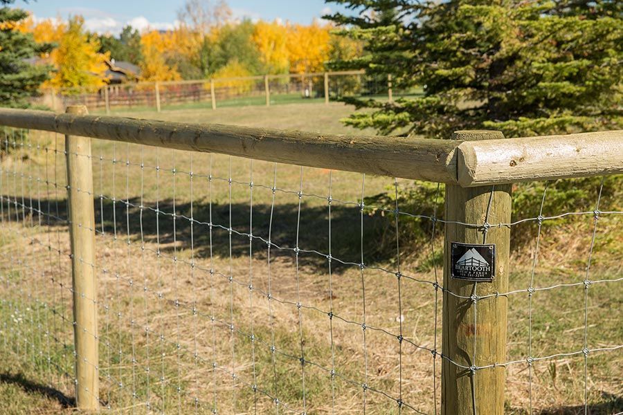 A wooden fence surrounds a grassy field with trees in the background.