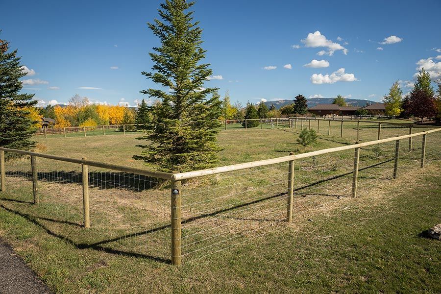 A wooden fence surrounds a grassy field with trees in the background.