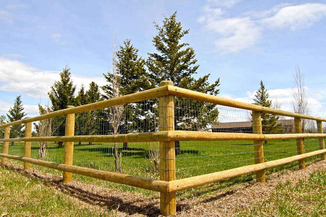 A wooden fence surrounds a grassy field with trees in the background.