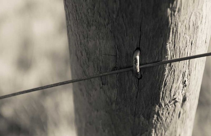 A black and white photo of a barbed wire fence attached to a wooden post.