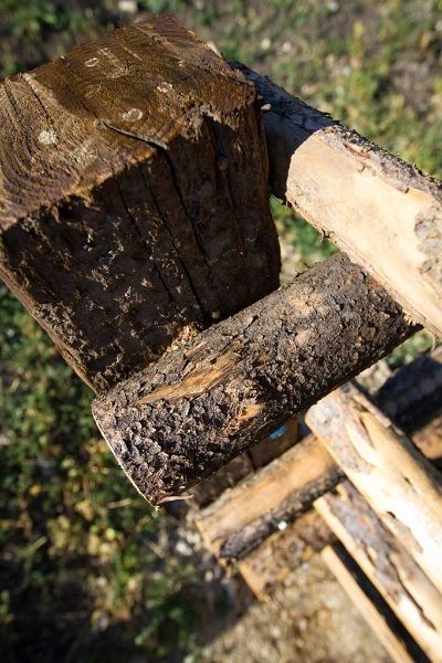 A piece of wood is sitting on top of a pile of logs.