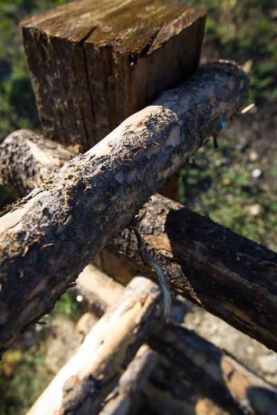 A bunch of logs are stacked on top of each other.