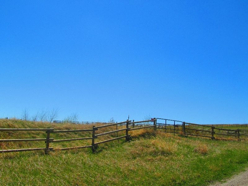 A wooden fence surrounds a grassy field on a sunny day.