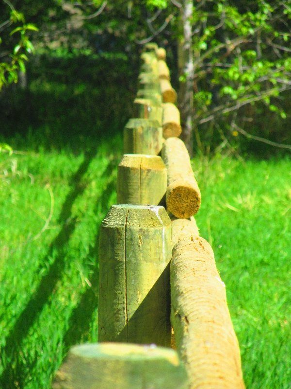 A row of wooden posts sitting on top of a lush green field.