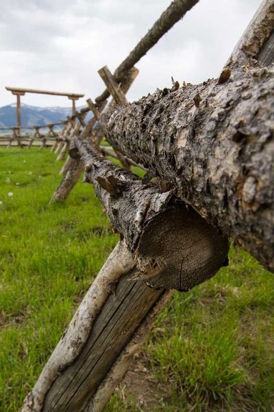 A close up of a wooden fence made of logs in a grassy field.