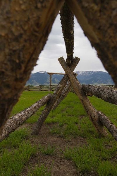 A fence made of logs in a field with mountains in the background.