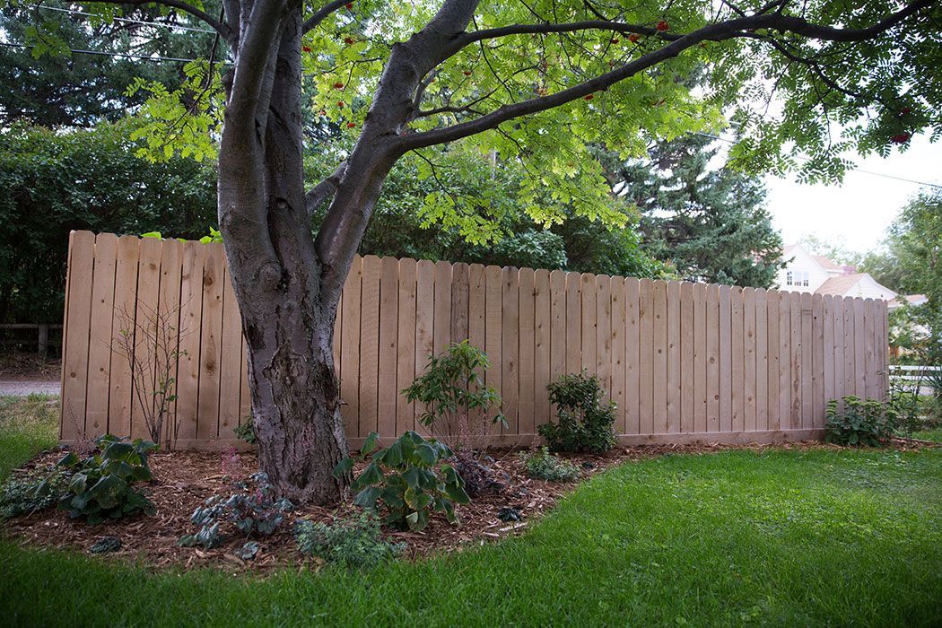 A wooden fence surrounds a lush green yard with a tree in the foreground.