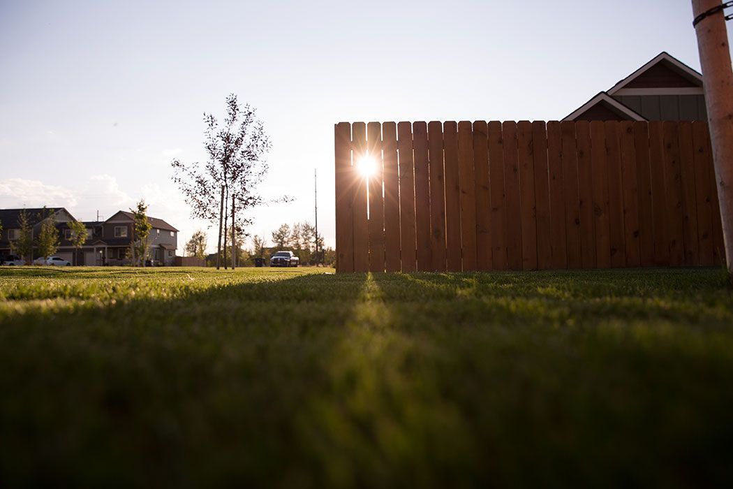 The sun is shining through the wooden fence in the backyard.