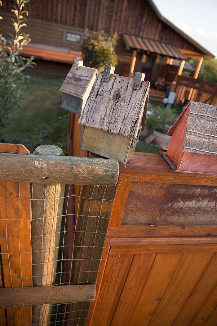 A wooden fence with a birdhouse on top of it.