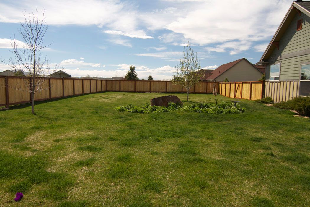 A large backyard with a wooden fence and a house in the background.