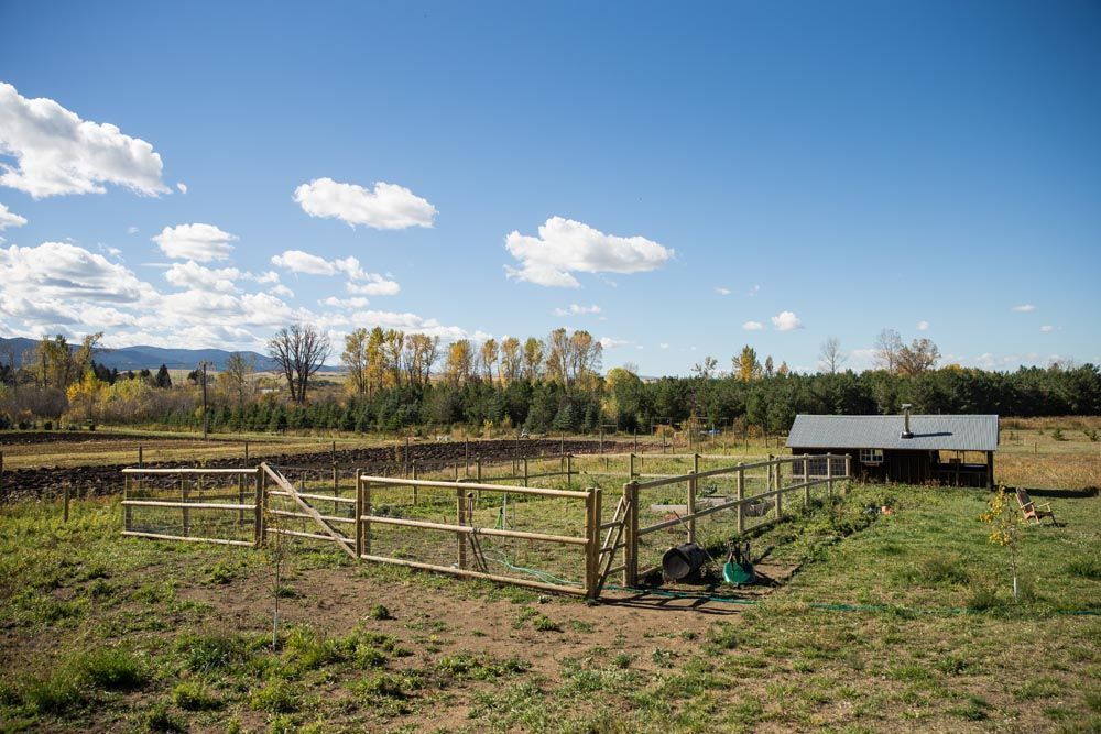 A large grassy field with a fence and a shed in the background.