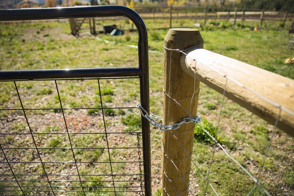 A close up of a fence with barbed wire and a gate.