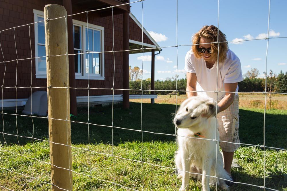 A woman is petting a white dog behind a wire fence.