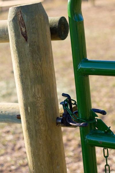 A green gate is attached to a wooden fence.