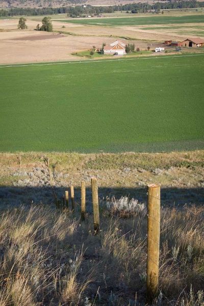 A wooden fence surrounds a grassy field with a farm in the background.