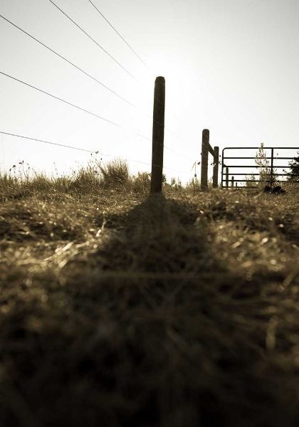 A black and white photo of a fence and a gate.