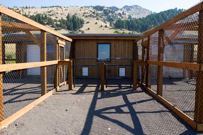 A wooden fence surrounds a chicken coop with mountains in the background.