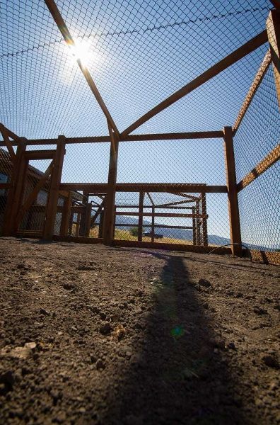 The sun is shining through the fence of a chicken coop.