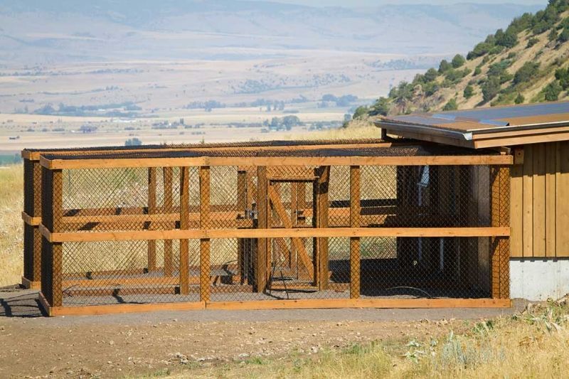 A wooden fence surrounds a building in a field.