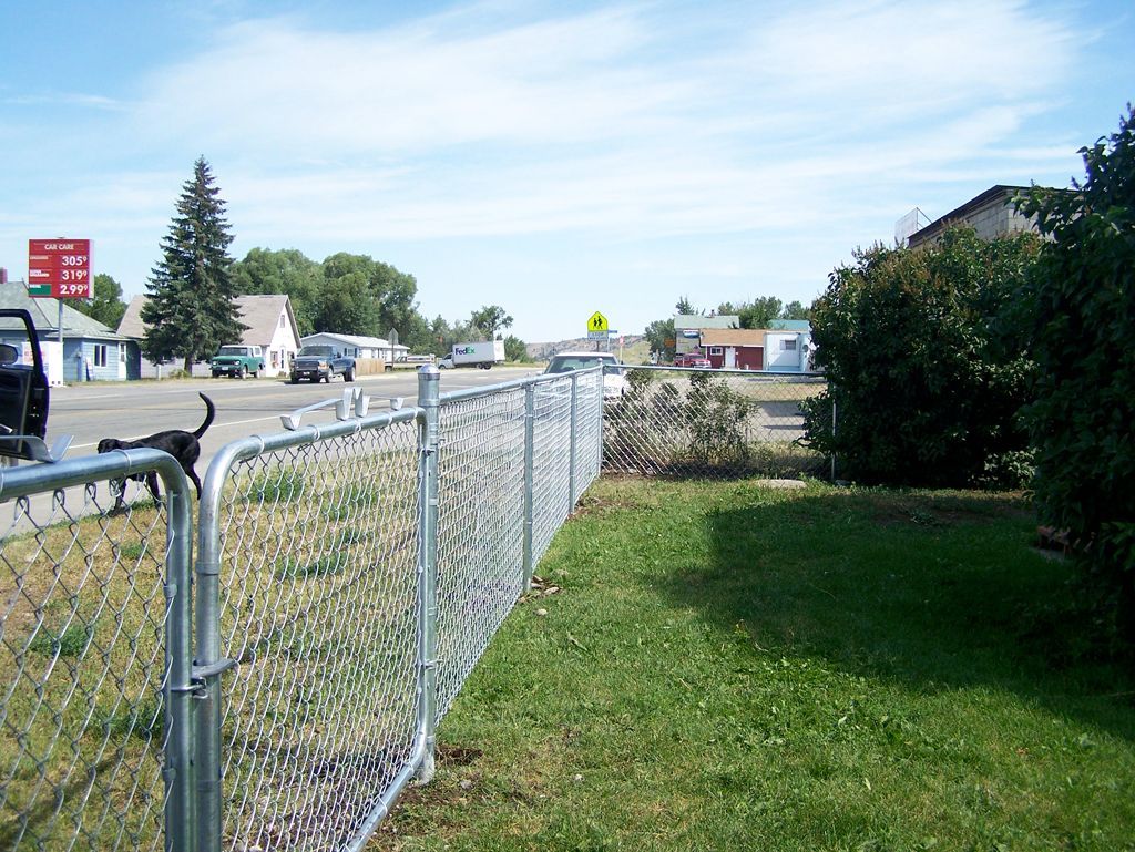 A chain link fence surrounds a lush green yard.