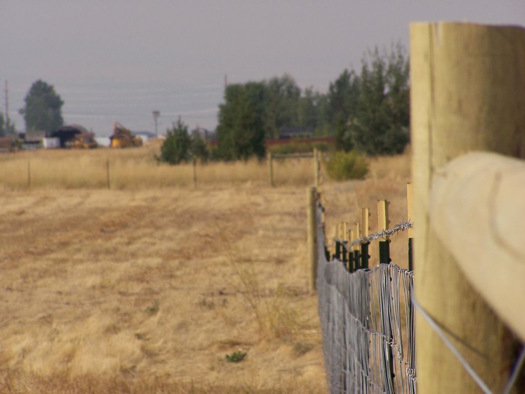 A person in a cowboy hat is standing next to a fence in a field.
