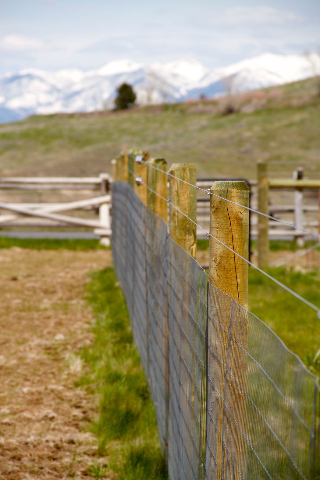 A wooden fence surrounds a grassy field with mountains in the background.