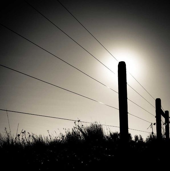 A black and white photo of a fence and power lines.