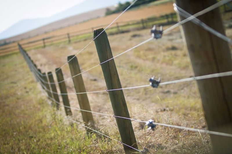A close up of a fence in a field with a blurred background.