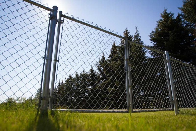 A chain link fence with trees in the background.
