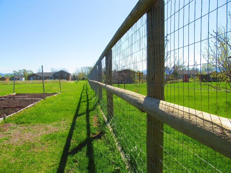 A wooden fence surrounds a lush green field.