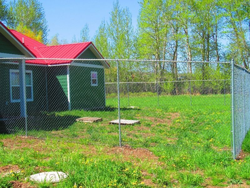 A green house with a red roof is behind a chain link fence.